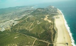 Government Regulation