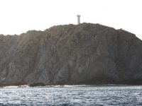 Joint Ventures and Strategic Alliances